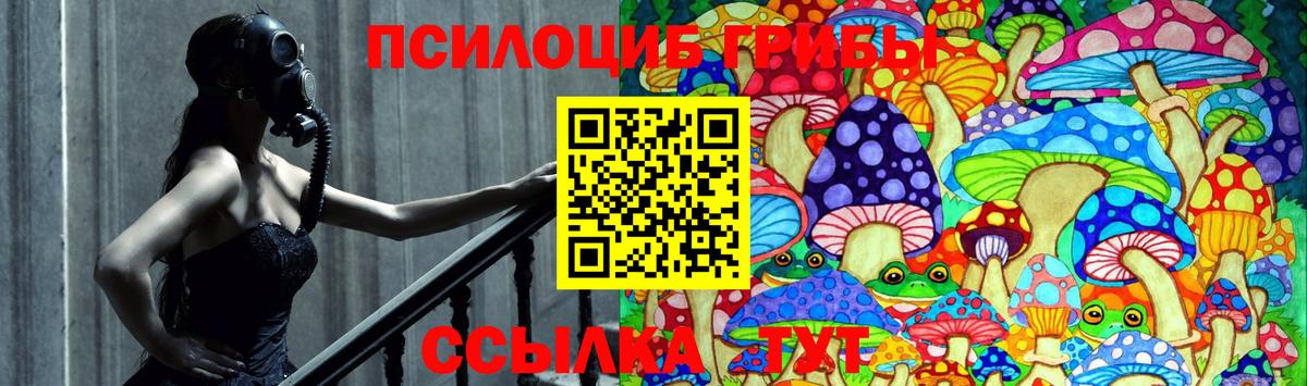 Псилоцибиновые грибы Psilocybine cubensis Сосновоборск